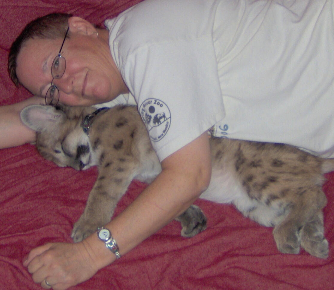 Bret, Mountain Lion